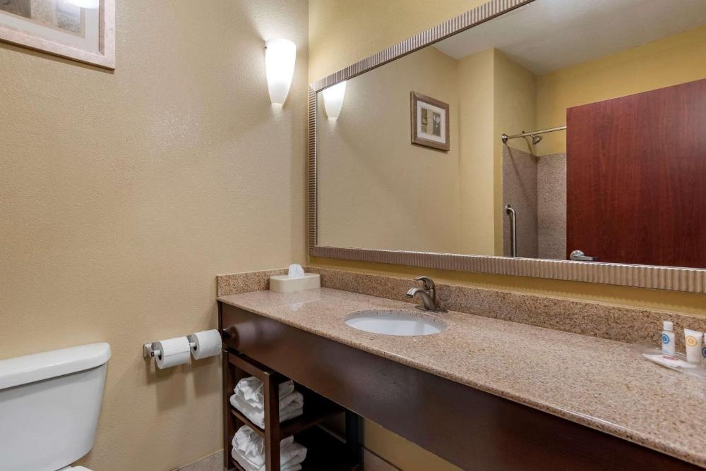 Comfort Suites Airport South Image 34