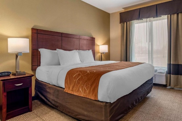 Comfort Suites Airport South image 14