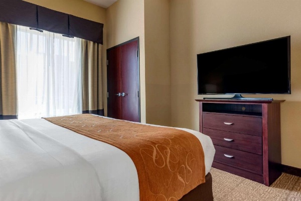 Comfort Suites Airport South image 17
