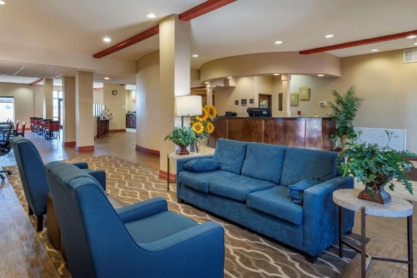 Comfort Suites Airport South image 18