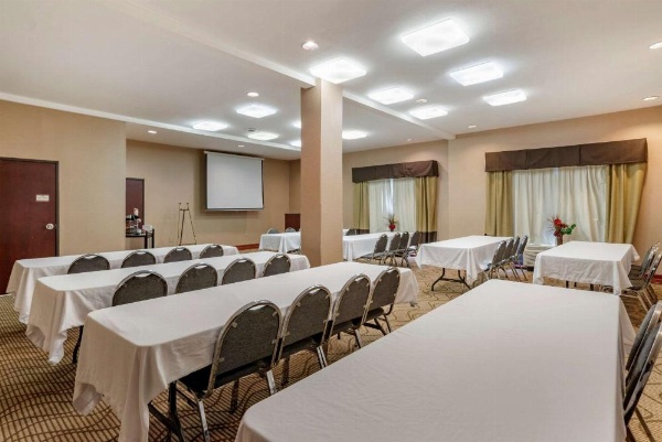 Comfort Suites Airport South image 30