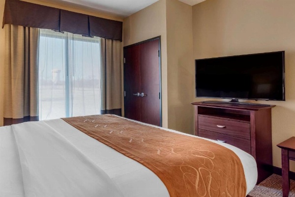 Comfort Suites Airport South image 5